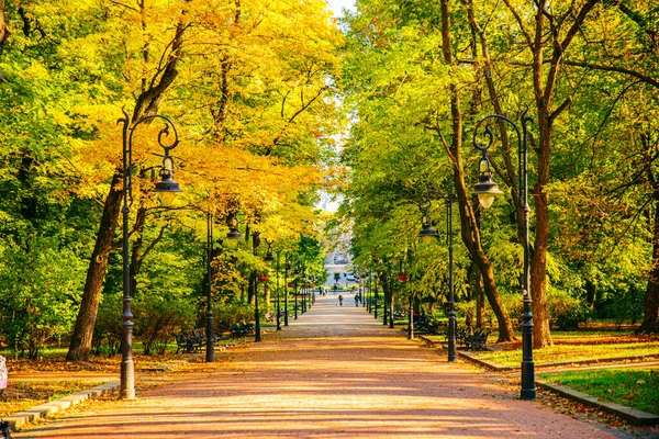 Φθινόπωρο Έρχεται Θέα Του Πάρκου Της Πόλης Κίτρινα Και Πράσινα — Φωτογραφία Αρχείου