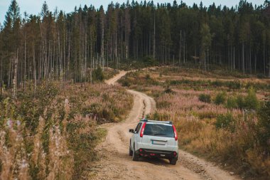 off road araba seyahati dağlardan sonbahar zirvesi yol gezisi