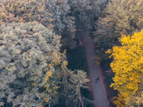 秋季城市公园复制空间俯瞰图 — 图库照片