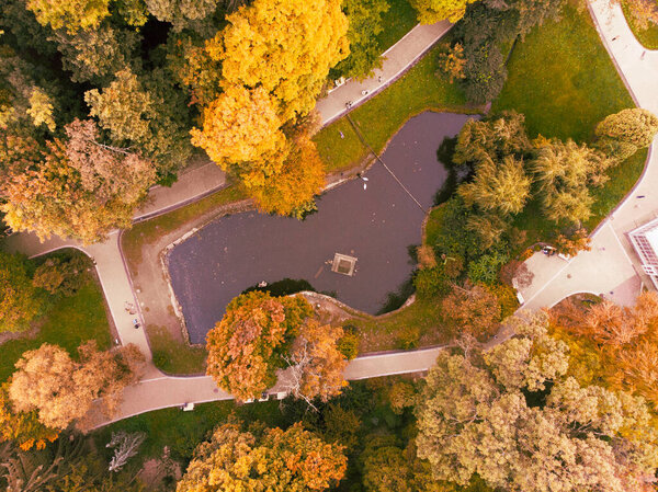 Overhead view of autumn city park with lake copy space