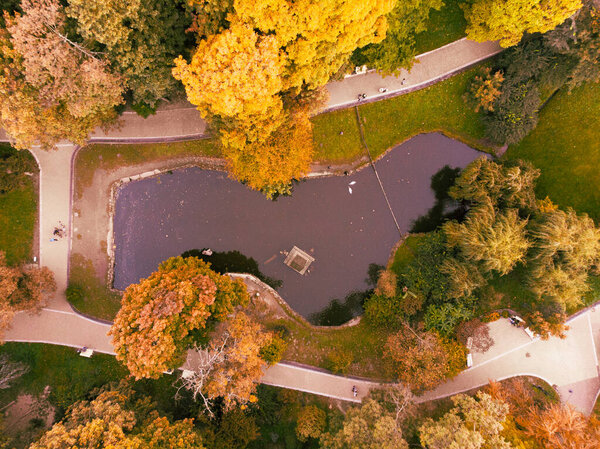 Overhead view of autumn city park with lake copy space