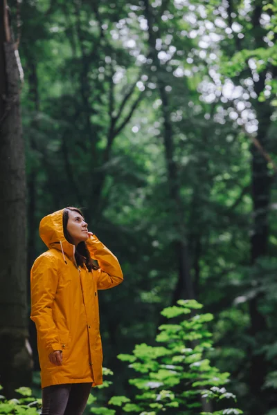 woman in yellow raincoat walking by rainy forest. rear view. copy space. small people in big world