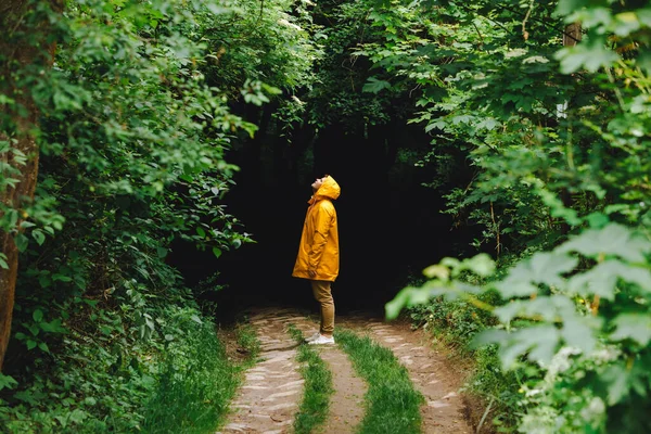 Călător Pelerinaj Galben Drumeții Pădure Ploioasă Copia Spațiu — Fotografie, imagine de stoc