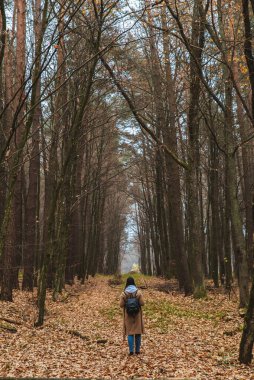 Sonbahar kıyafetli genç ve güzel bir kadın ormanda yürüyor.