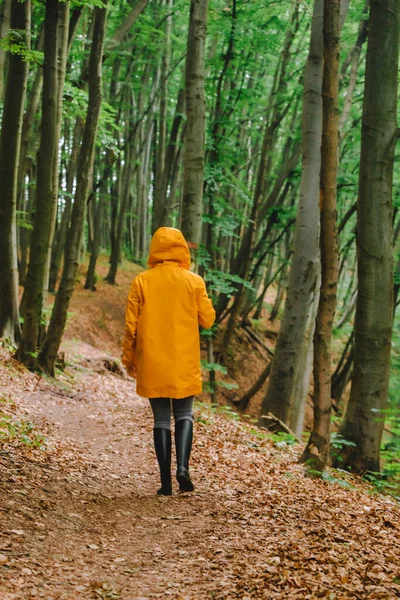 Mulher Capa Amarela Andando Pela Floresta Chuvosa Visão Traseira Espaço — Fotografia de Stock