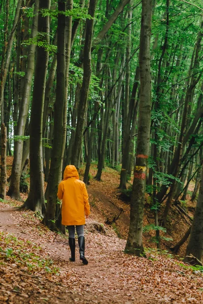 Mulher Capa Amarela Andando Pela Floresta Chuvosa Visão Traseira Espaço — Fotografia de Stock