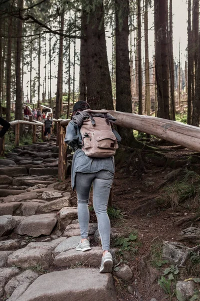 Femeie Drumeție Mers Jos Potecă Piatră Pădure Rucsac — Fotografie, imagine de stoc