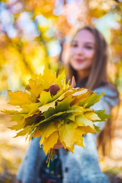 Junge Hübsche Frau Narrt Mit Gelbem Ahornblatt Herbstmode — Stockfoto