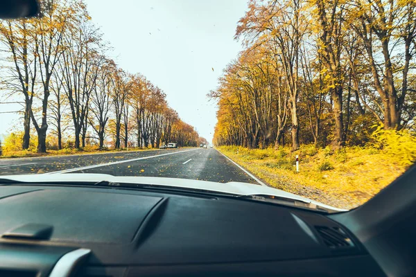 Herbst Auto Reise Konzept Bäume Mit Gelben Blättern Gerade Autobahn — Stockfoto