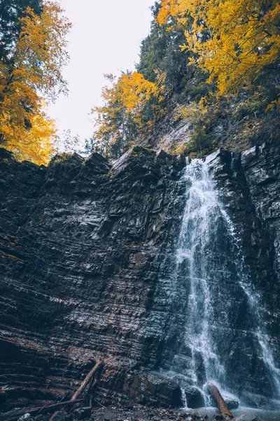 Autunno Foresta Cascata Paesaggio Vista Caduta Stagione — Foto Stock