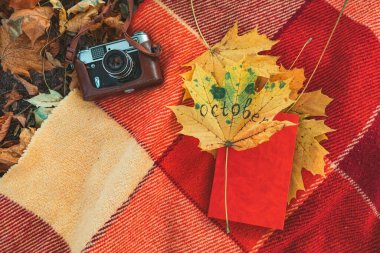 Sonbahar parkında üzerinde kitap ve eski bir retro kamera olan battaniye. Boşluğu kopyala