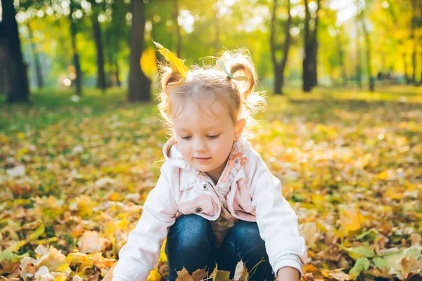 Pouco Sorrindo Loira Bonito Menina Criança Outono Parque Cidade Queda — Fotografia de Stock