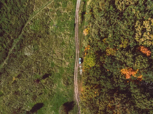 Vista aérea do carro branco SUV na trilha floresta de outono — Fotografia de Stock