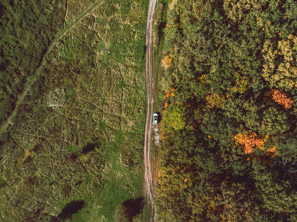 Aerial view of white suv car on autumn forest trail copy space