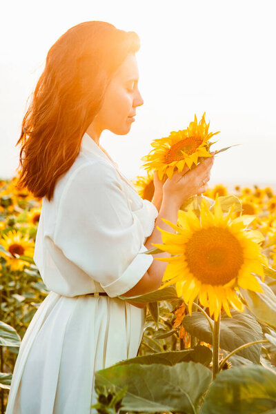 young beautiful woman at sunflowers field on sunset. lifestyle activities