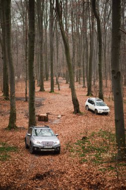 Lviv, Ukrayna - 19 Ocak 2020: Arazi otomobili sonbahar ormanlarında aktif yaşam tarzı.