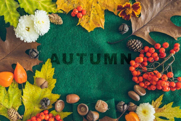 緑の布の質感の秋のテキストは周りの葉 グリーティングカード — ストック写真