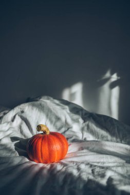 Beyaz çarşaflı sarı balkabağı. Boşluğu kopyala