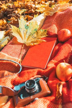 Sonbahar parkında üzerinde kitap ve eski bir retro kamera olan battaniye. Boşluğu kopyala