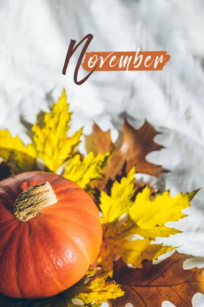 Pumpkin Oak Leaf White Sheets November Text Greeting Card — Stock Photo, Image