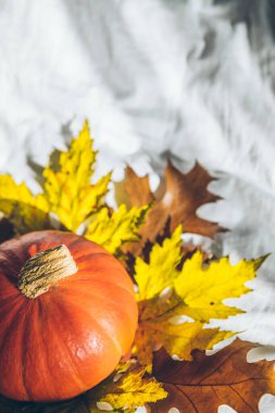 Beyaz çarşaflı sarı balkabağı. Boşluğu kopyala