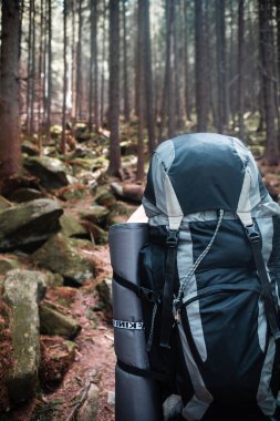 Dağlardaki genç yürüyüşçü. Yaz yürüyüşü yolu. Boşluğu kopyala.