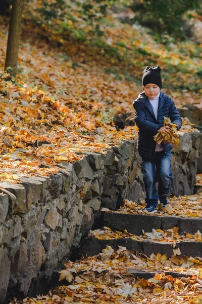 Petit Enfant Amuser Dans Parc Automne Feuilles Jaunes — Photo