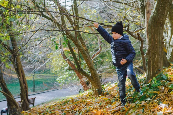 Copil Mic Distrează Parcul Toamnă Frunze Galbene — Fotografie, imagine de stoc