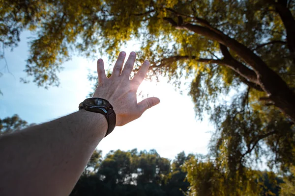 Mão Homem Com Relógio Pulso Raios Sol Através Palma Mão — Fotografia de Stock