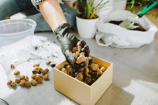 Frau Verpflanzt Blumen Größeren Töpfen Hause Kopierraum — Stockfoto