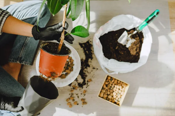 Frau Verpflanzt Blumen Größeren Töpfen Hause Kopierraum — Stockfoto