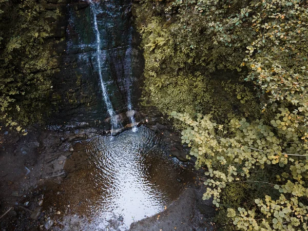 秋の森の滝の眺めコピースペース — ストック写真