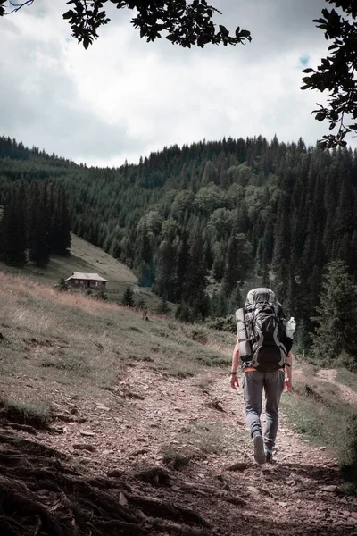 Jovem Caminhante Nas Montanhas Caminho Trekking Verão Espaço Cópia — Fotografia de Stock