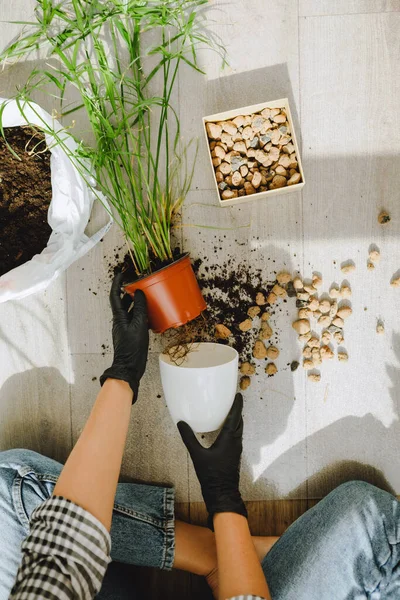 Frau Verpflanzt Blumen Größeren Töpfen Hause Kopierraum — Stockfoto