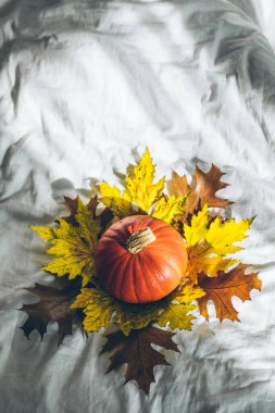 Beyaz çarşaflı sarı balkabağı. Boşluğu kopyala