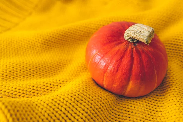 View Orange Pumpkin Yellow Cloth Texture Copy Space Greeting Card — Stock Photo, Image