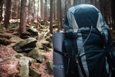 Dağlardaki genç yürüyüşçü. Yaz yürüyüşü yolu. Boşluğu kopyala.