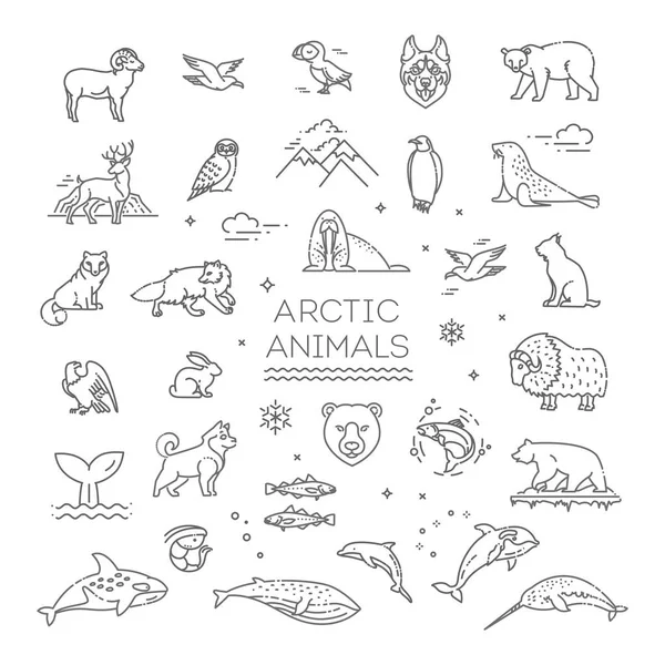 Line arktiska vilda djur koncept med olika nordliga djur. Vektor — Stock vektor