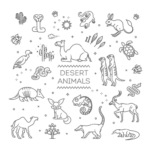 Γραμμή έννοια άγριας ζωής με διαφορετικά ζώα της ερήμου. Διάνυσμα — Διανυσματικό Αρχείο