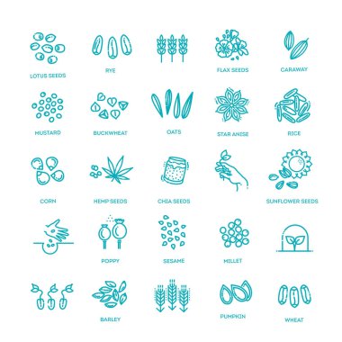 Bitki tohumu vektör simgesi belirlendi