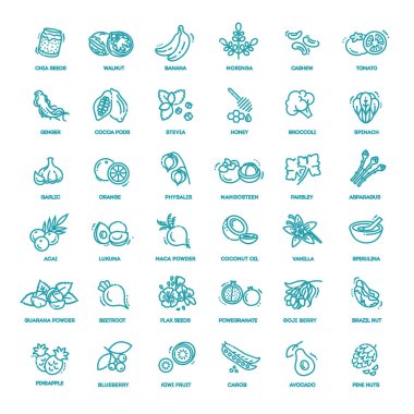 Superfood 'un vektör simgeleri. Organik süper yiyecekler