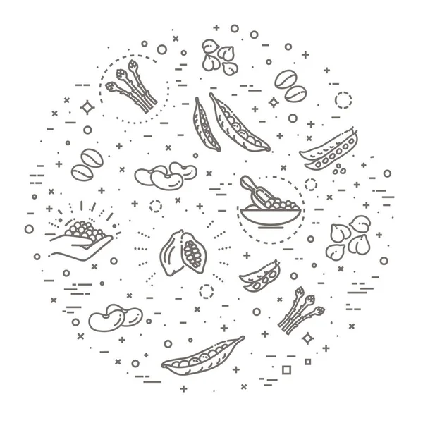 Fasulye çizgisi simgesi seti, yiyecek sembolleri koleksiyonu — Stok Vektör