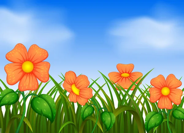 Escena Fondo Con Flores Jardín — Vector de stock