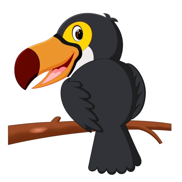 Karikatür Kuş Toucan Dal — Stok Vektör