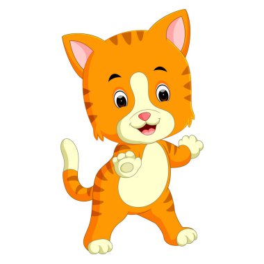 sevimli kedi çizgi film gösterimi