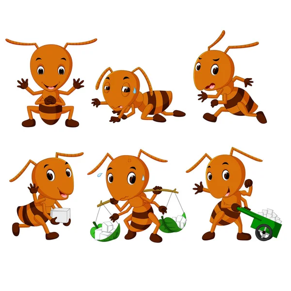 Collectie Van Ant Cartoon — Stockvector