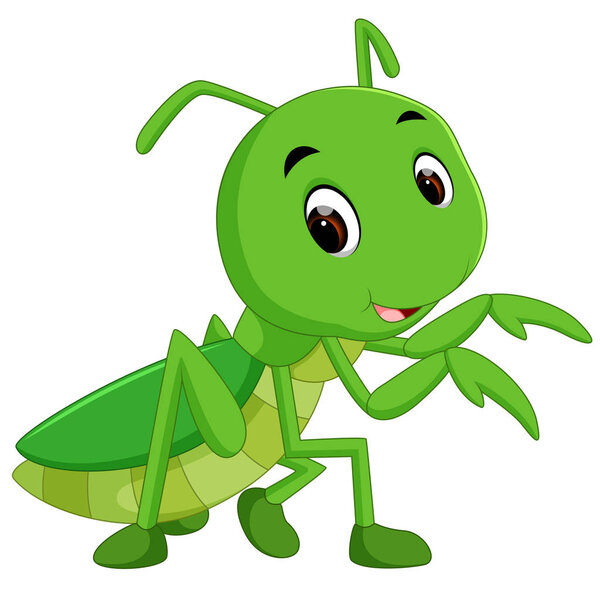 illustration of Praying mantis cartoon