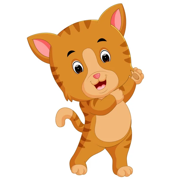 Illustratie Van Cute Kat Cartoon — Stockvector