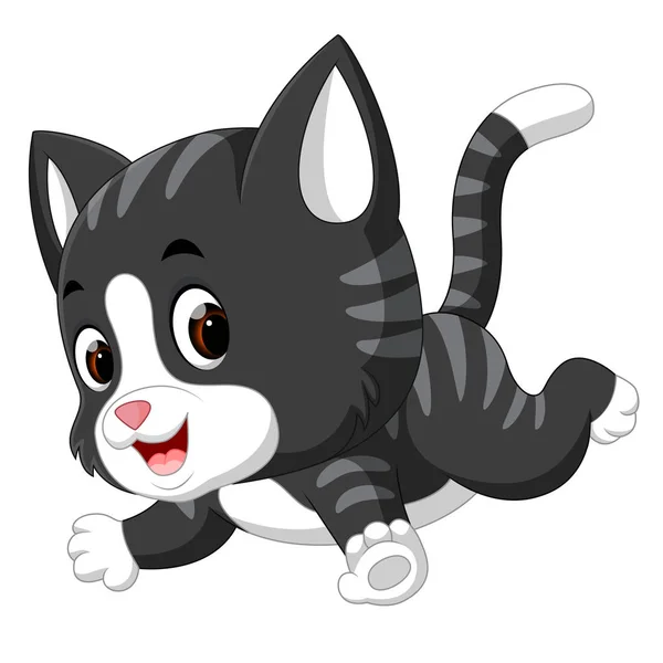 Illustration Cute Cat Cartoon — Stock Vector