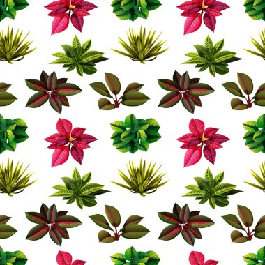 güzel sorunsuz bir sürü değişik yaprakları